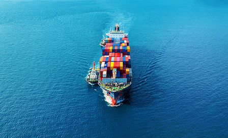 Vận tải đường biển VIC Logistics